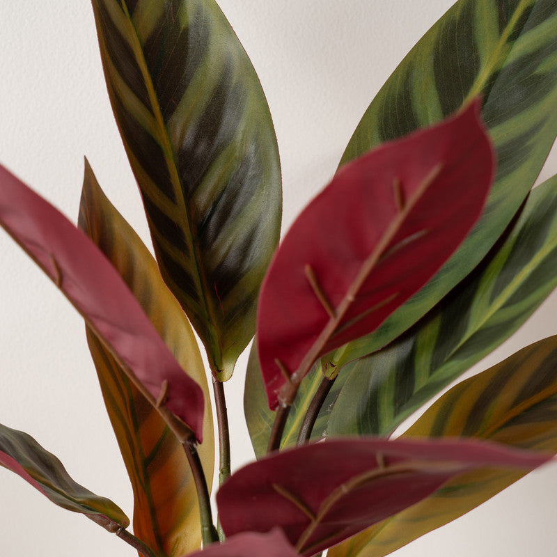 39cm Artificial Maranta Plant